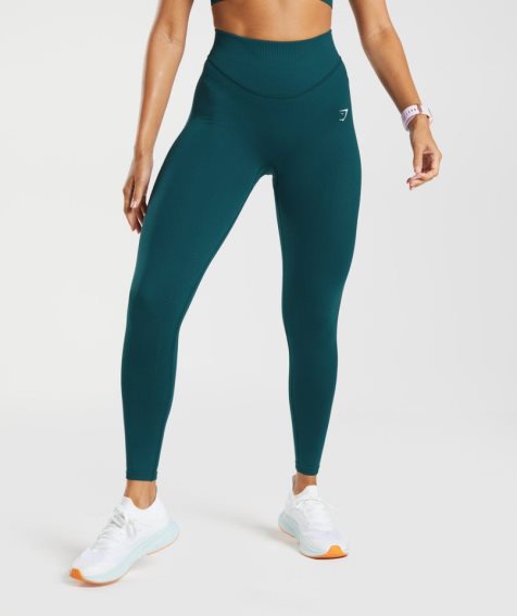 Women's Gymshark Sweat Seamless Sculpt Leggings Turquoise | NZ 1IWKTB